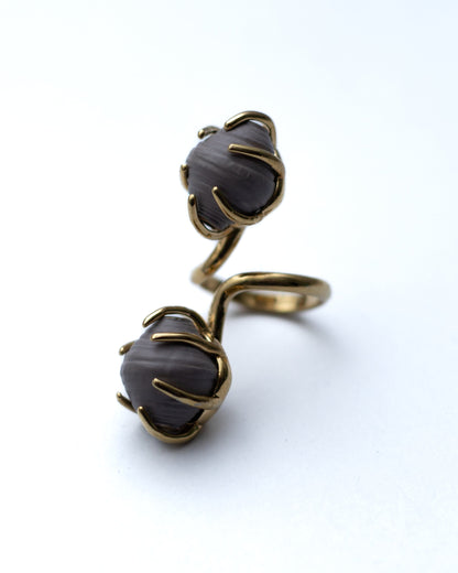 Ejima Ring