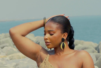 Feather Earrings Ebony Wood and Gold