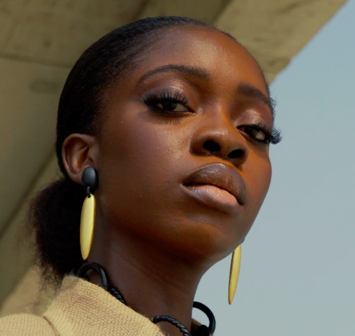 Long Oval Earrings Ebony Wood and Gold